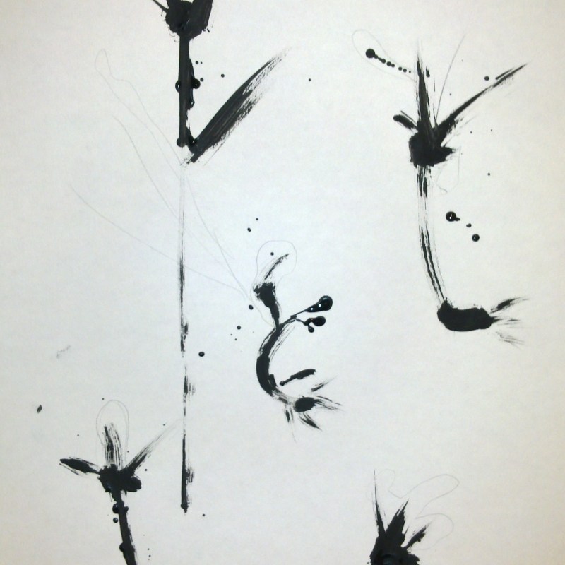 Simple sketch of Fauna