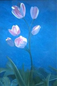 Jewel of the Night by Sharon Gee