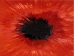 The Power of Passion by Sharon Gee